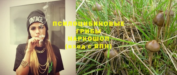 молекула духа Баксан