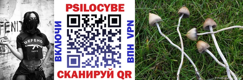 Псилоцибиновые грибы Psilocybe  mega ССЫЛКА  Нолинск 